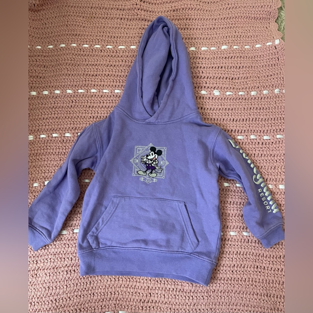 Disneyland hoodie